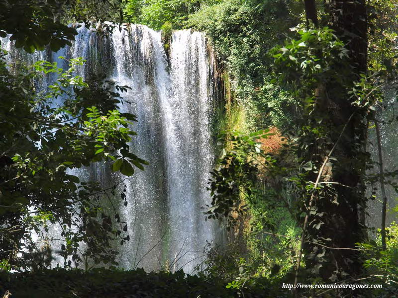 CASCADA DEL RÍO PIEDRA